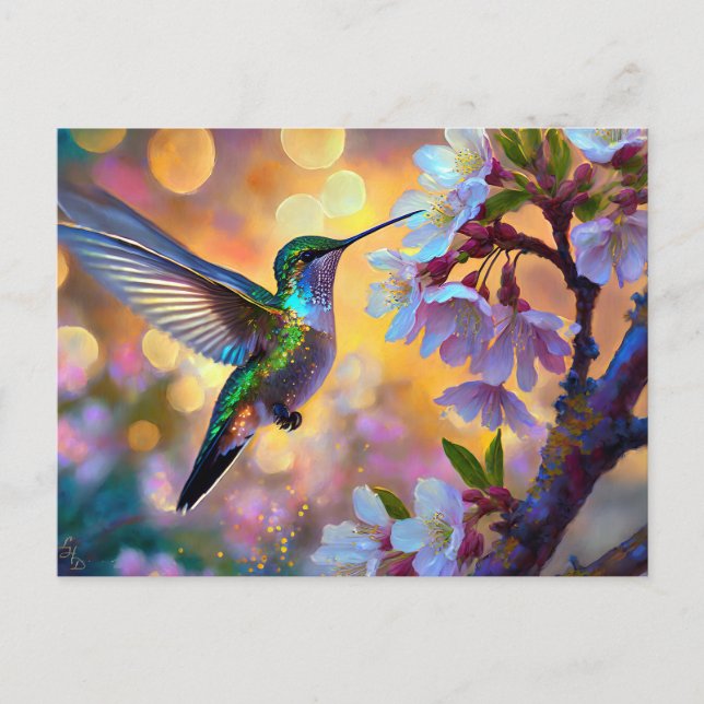 Cherry Blossom Fantasy Sunrise Hummingbird Postcard (Front)