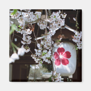 Cherry Blossom Festival in Kyoto Magnet