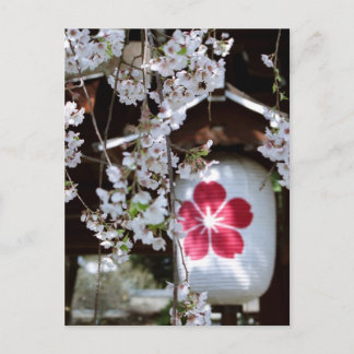 Cherry Blossom Festival in Kyoto Postcard