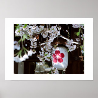 Cherry Blossom Festival: Kyoto Poster