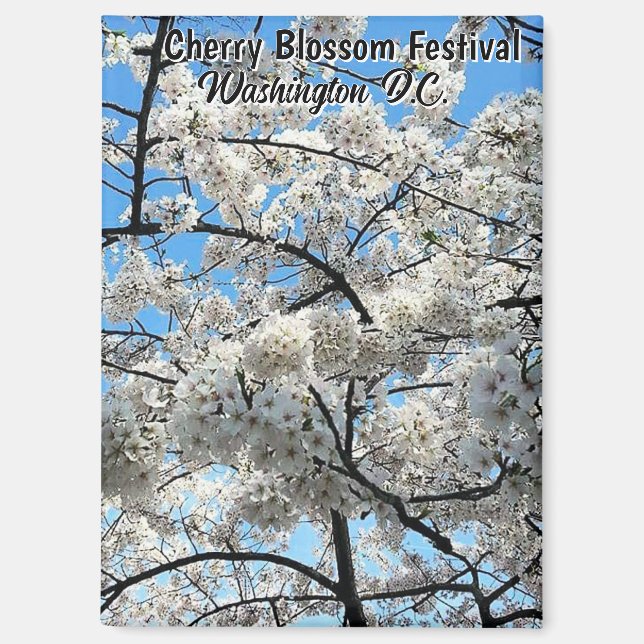 Cherry Blossom Festival Washington D.C. Souvenir Magnet (Front)