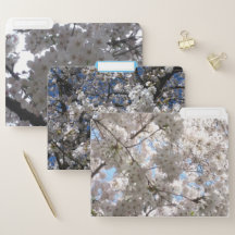 Cherry Blossom File Folder Trio
