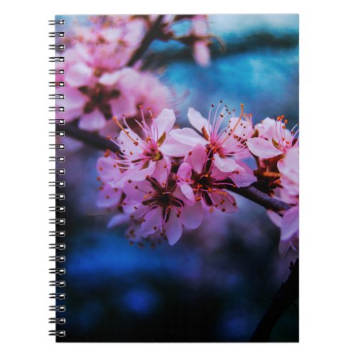 Cherry Blossom Fine Art Photograph Spiral Notebook