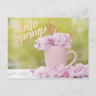 Cherry Blossom Flower Floral Stilllife Spring Text Postcard