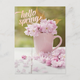 Cherry Blossom Flower Floral Stilllife Spring Text Postcard