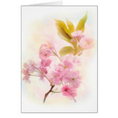 Cherry Blossom flowers (Front)