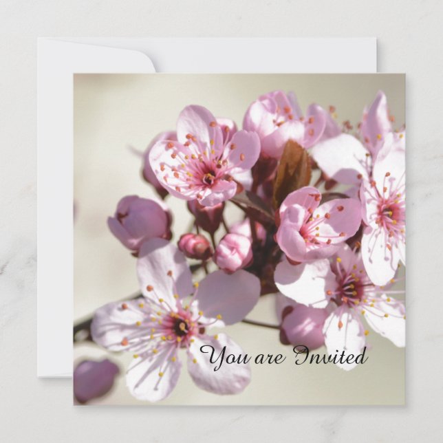 Cherry Blossom Flowers Birthday Invitation (Front)