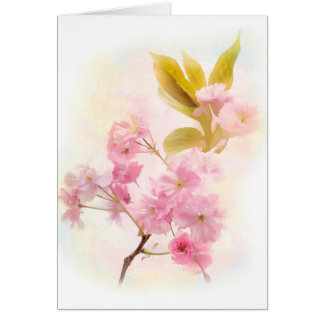 Cherry Blossom flowers Cards