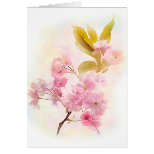 Cherry Blossom flowers Cards (Front)