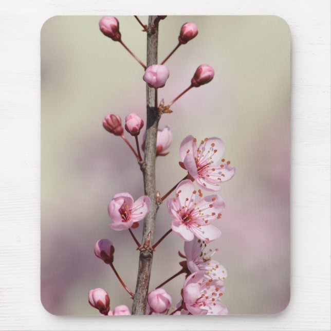 Cherry Blossom Flowers Mouse Pad (Front)