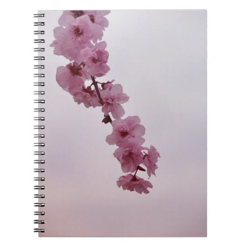 Cherry Blossom Flowers Notebook