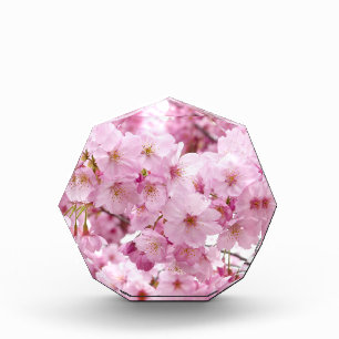 Cherry Blossom Flowers Sakura Acrylic Award
