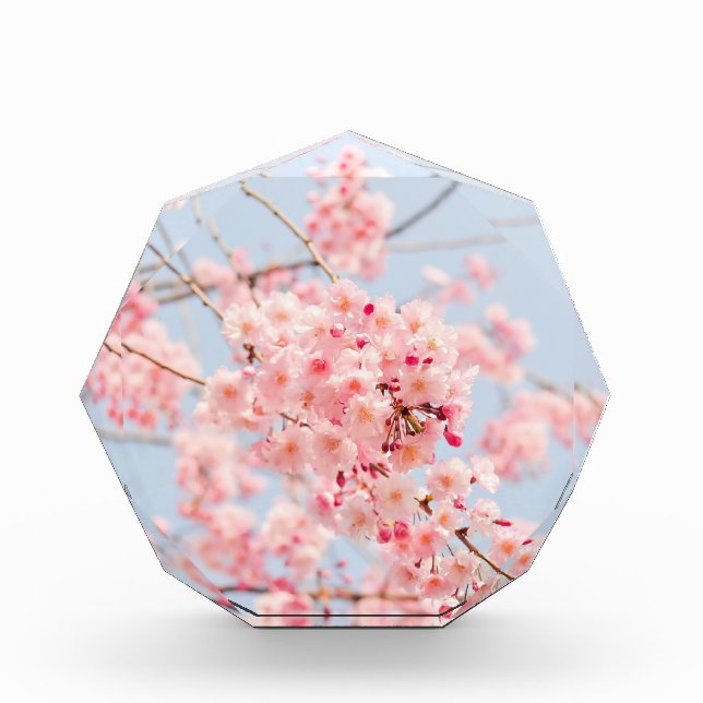 Cherry Blossom Flowers Sakura Acrylic Award (Front)