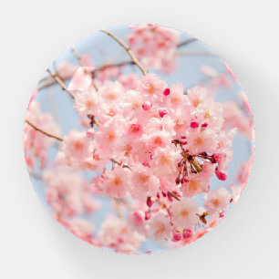 Cherry Blossom Flowers Sakura Paperweight
