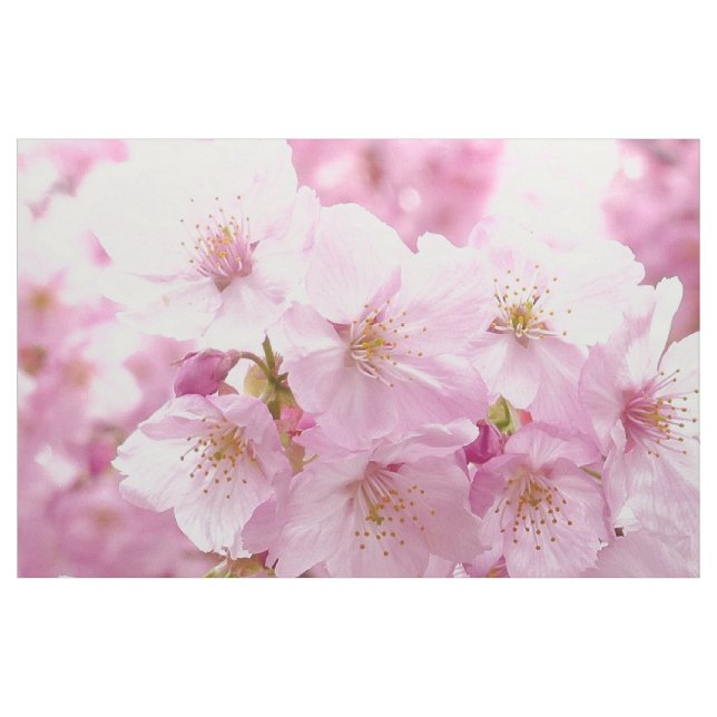 Cherry Blossom Flowers Sewing Fabric (Fat Quarter)