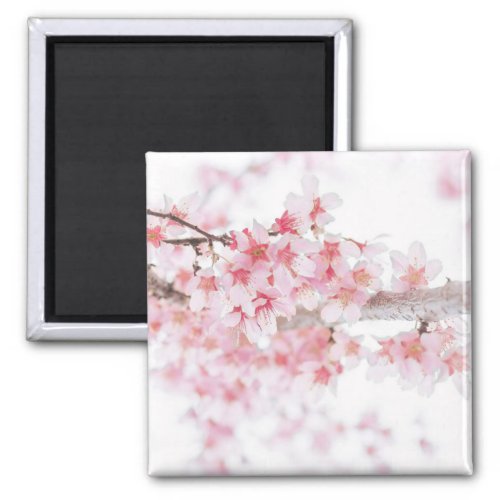 CHERRY BLOSSOM FRIDGE MAGNET