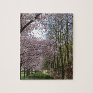 Cherry Blossom Garden Jigsaw Puzzle