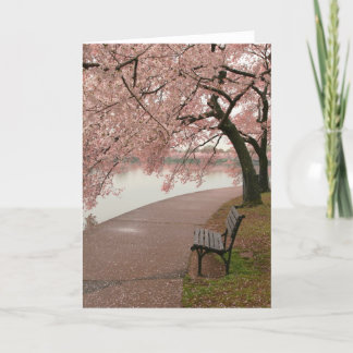 Cherry Blossom Greeting Card