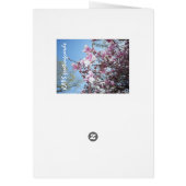 Cherry Blossom Greeting Cards (Back)