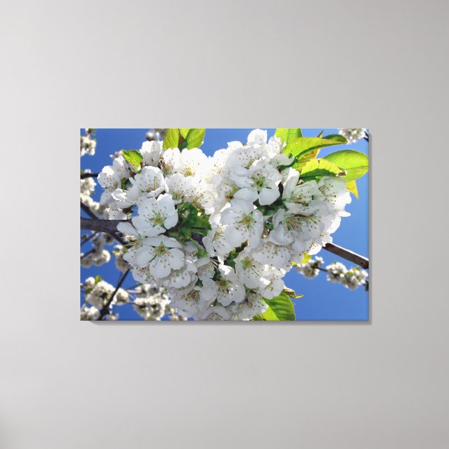 Cherry blossom heart canvas print (Front)