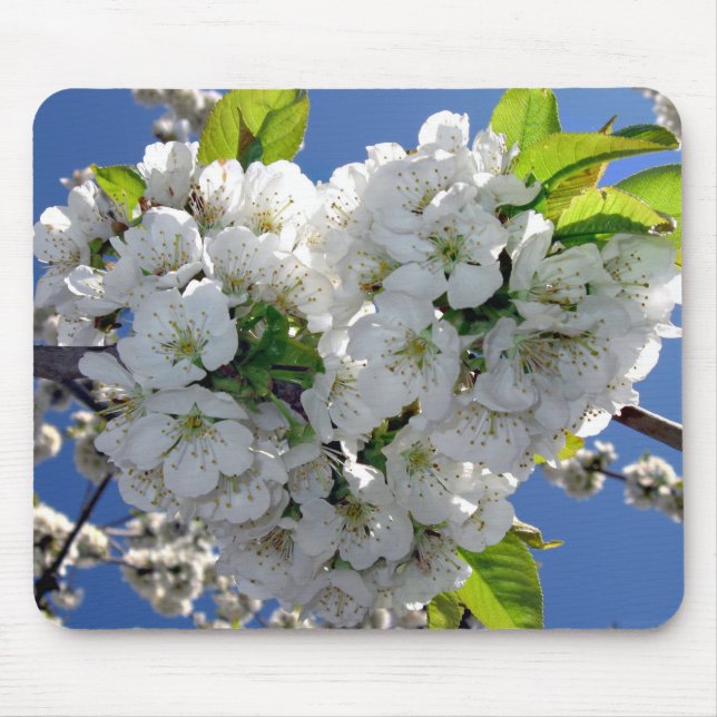 Cherry blossom heart mouse pad (Front)