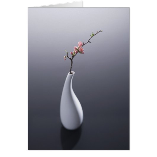 Cherry blossom in vase cards (Front)