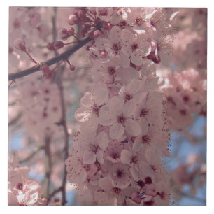 Cherry blossom Japan floral pink pretty unique Ceramic Tile