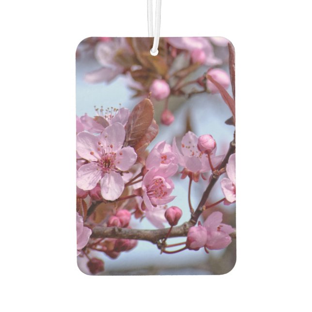 Cherry Blossom Japanese Car Air Freshener (Back)
