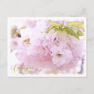 Cherry Blossom "Kasugai" Postcard