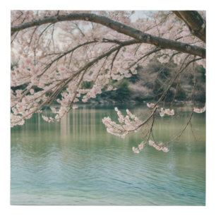  cherry blossom lake faux canvas print