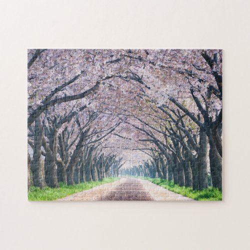 Cherry Blossom Lane Jigsaw Puzzle