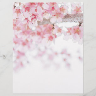 CHERRY BLOSSOM LETTERHEAD
