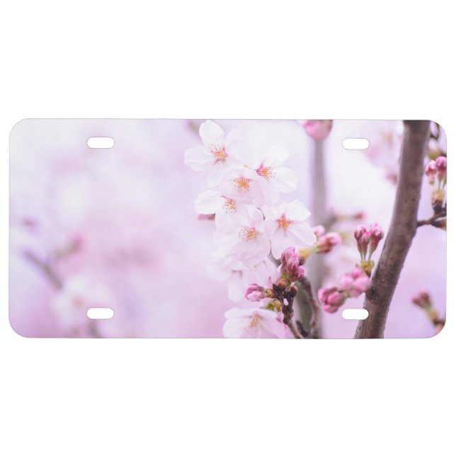 Cherry Blossom License Plate (Front)