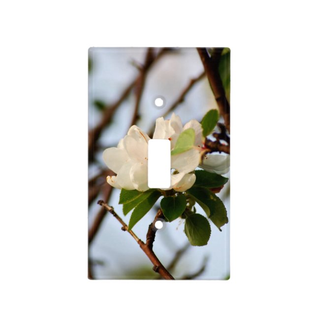Cherry Blossom Light Switch Cover (Front)