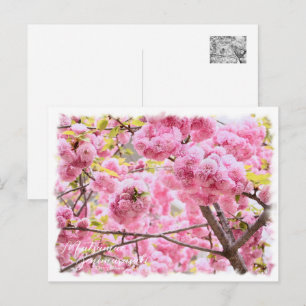 Cherry Blossom 'Matsumae-benimurasaki' Postcard