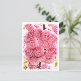 Cherry Blossom 'Matsumae-benimurasaki' Postcard