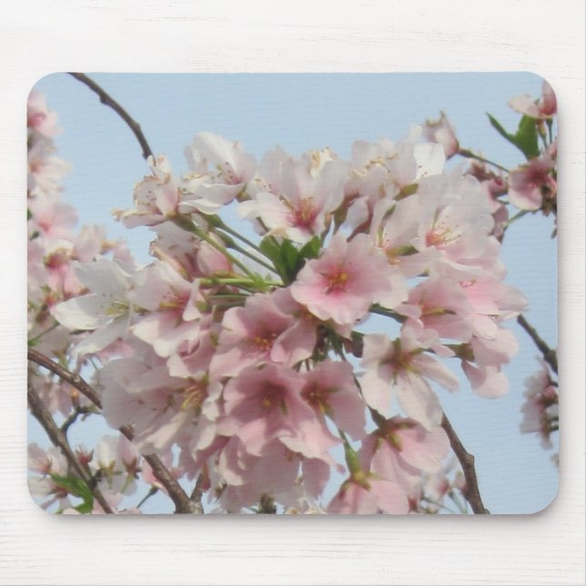 Cherry Blossom Mouse Pad (Front)