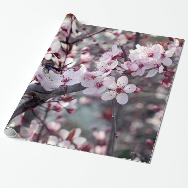Cherry Blossom Nature Floral Wrapping Paper (Unrolled)