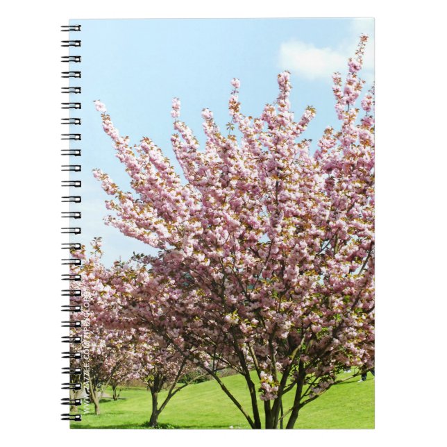 Cherry Blossom Notebook (Front)