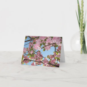 Cherry Blossom notecards