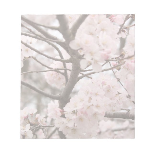 Cherry Blossom Notepad (Front)