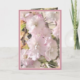 Cherry Blossom pale pink and white card photo