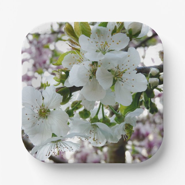 Cherry Blossom Paper Plates (Front)