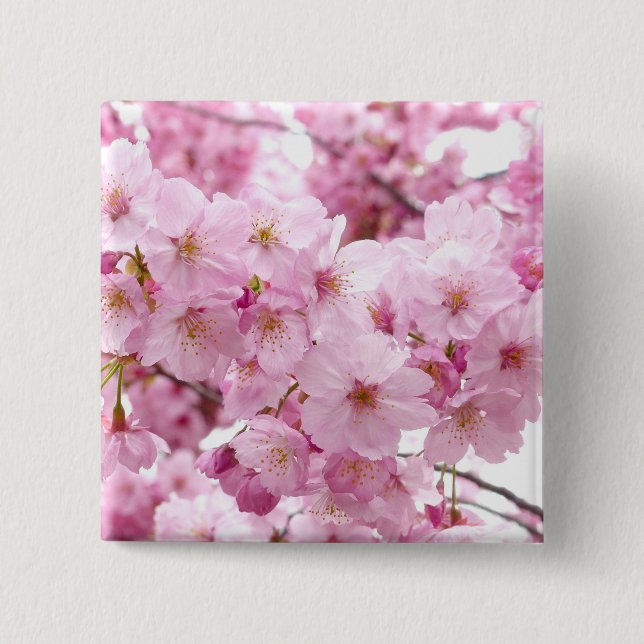 Cherry blossom pinback button (Front)