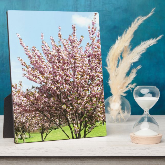 Cherry Blossom Plaque (Side)