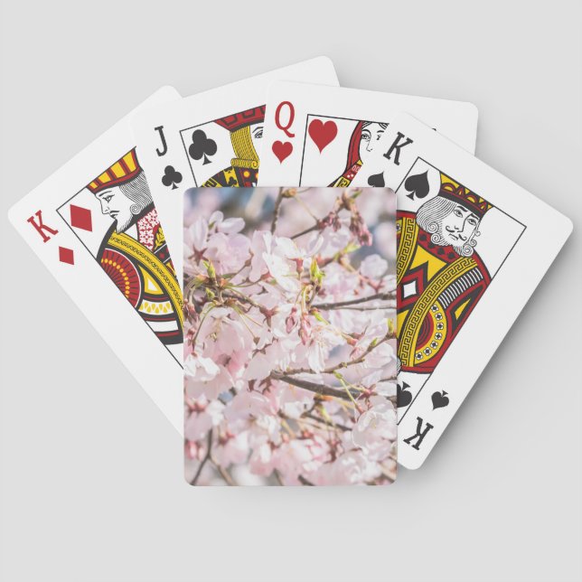 Cherry Blossom Playing Cards (Back)
