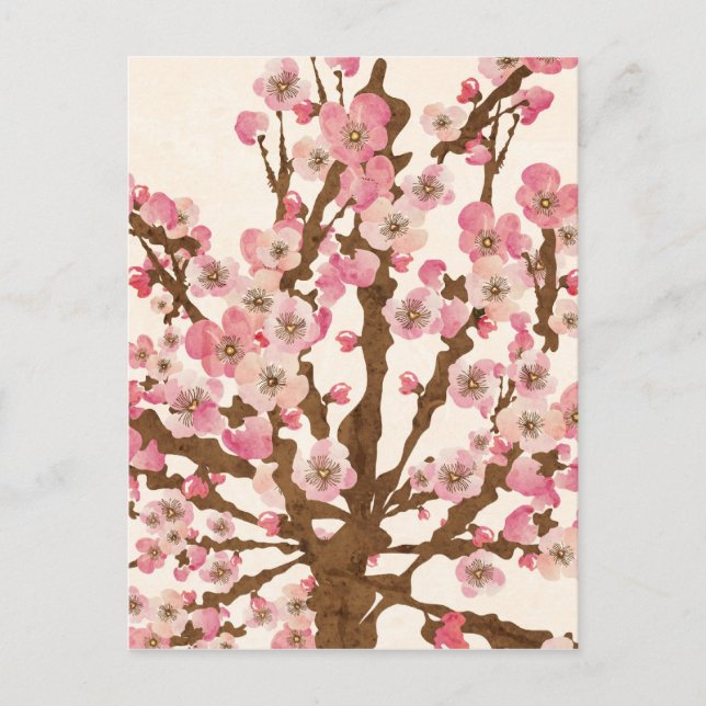 Cherry blossom Postcard (Front)