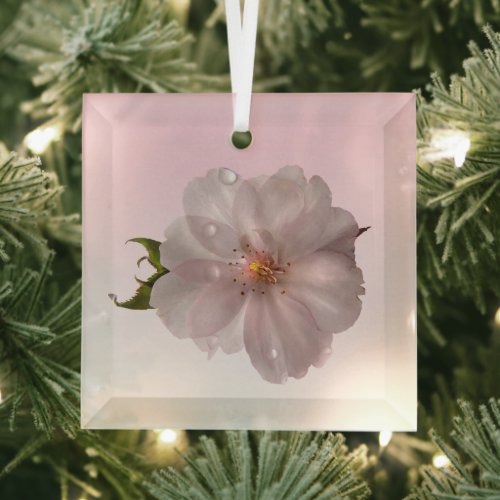 Cherry Blossom Sakura Beveled Glass Ornament