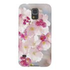 Cherry blossom / sakura / cherry blom
