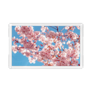 Cherry Blossom Sakura Flower Tree Acrylic Tray